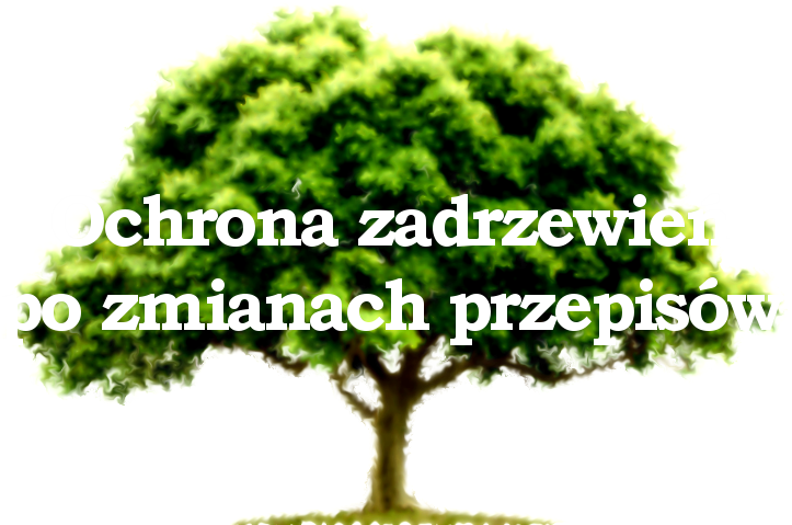 http://natura2000.gdos.gov.pl/